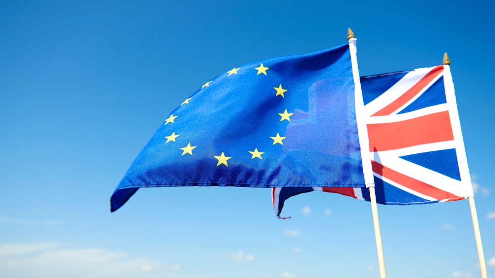 Более половины британцев поддержали возвращение в ЕС – результаты опроса